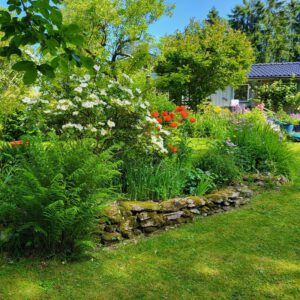 Uppvuxen naturtomt där det vilda blandas med ordning