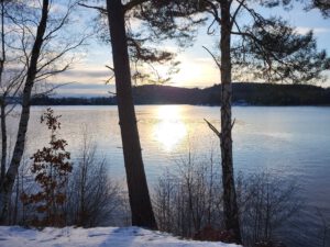 Naturen läker oss under alla årstider